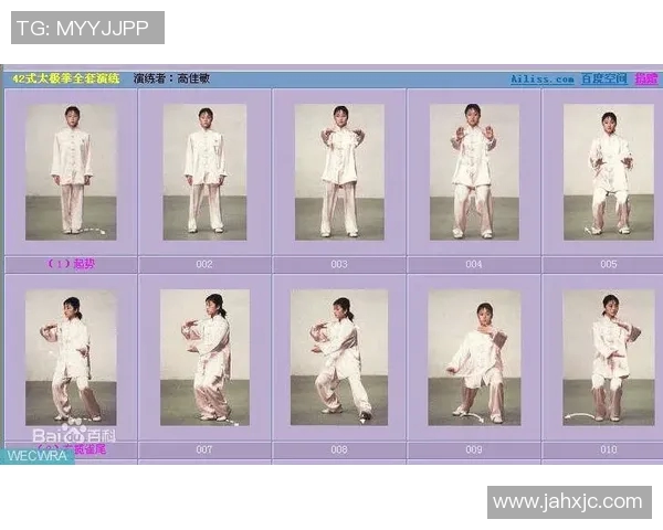 全面解析太极视频教程助你轻松掌握太极拳的精髓与技巧